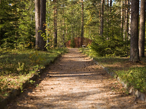 Surujenpuisto